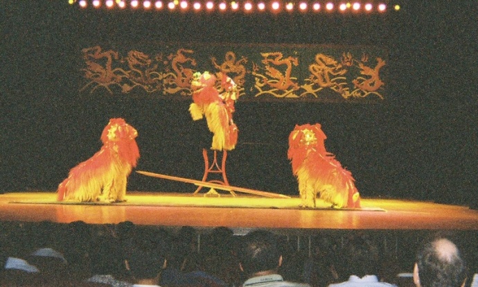 Chinese acrobatic circus