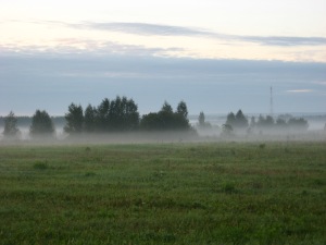Mist in the cold morning, after the visitation of the boars