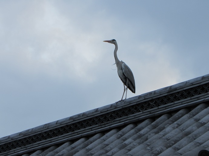 Crane on a temple roof, next to an eagle
